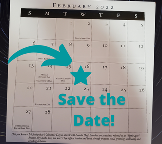 February 2022 calendar with arrow pointing to February 17 with a star on the date