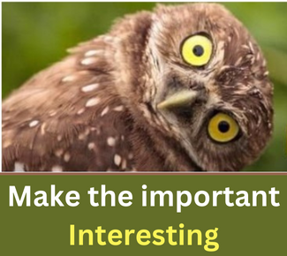 A green background with a yellow-eyed brown owl with head tilted. Underneath copy that reads, "Make the important interesting."