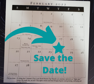 February 2022 calendar with arrow pointing to February 17 with a star on the date