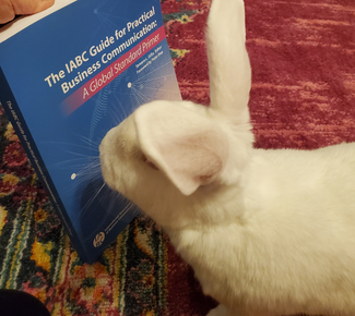 white rabbit sniffing The IABC Guide for Practical Business Communication: A Global Standard Primer